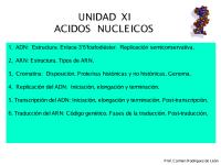 acidos nucleicos I (1).pdf