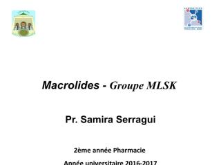 Macrolides Serragui 2016-2017.pdf