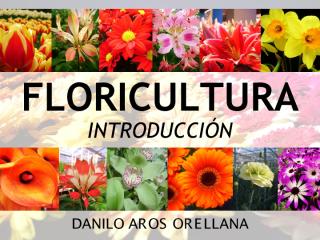 I._Intro_Floricultura_2013.pdf