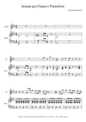 Donizetti_-_Sonata_per_Flauto_e_Pianoforte.pdf