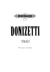 DonizettiTrio.pdf